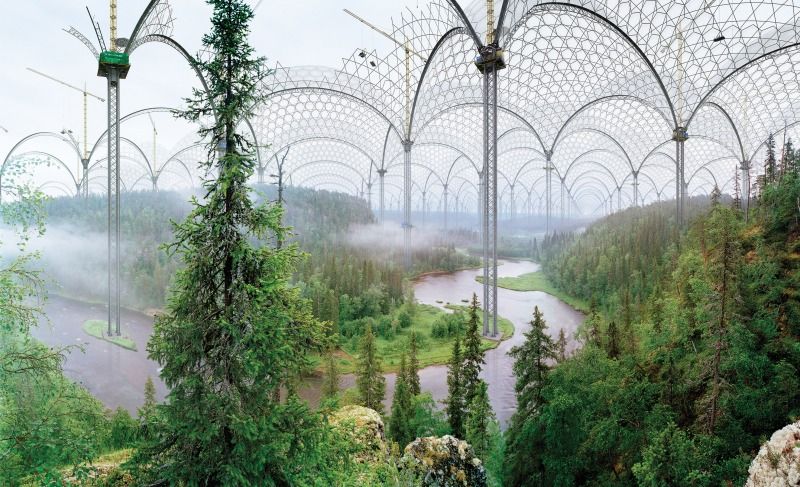Ilkka Halso | Inventing Nature. Plants in the arts
